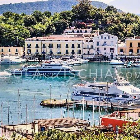 Apartament La Casa Di Antonia Ischia Zewnętrze zdjęcie